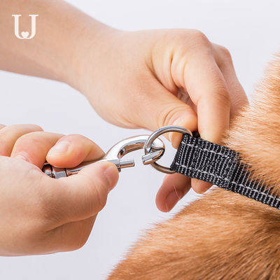 5M Uzun Uzatılabilir Köpek Tasması Çekiş Dorsal Otomatik Geri Çekilebilir Köpek Tasması