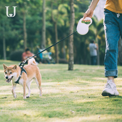 5M Uzun Uzatılabilir Köpek Tasması Çekiş Dorsal Otomatik Geri Çekilebilir Köpek Tasması