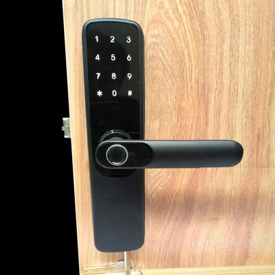 50mm Ttlock Elektronik Dijital Kapı Kilidi Akıllı Sürgü Kapı Kilidi