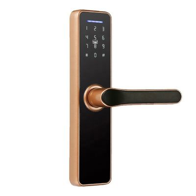 Ttlock Tuya App 35mm Akıllı Elektronik Kilit Wifi Şifresi