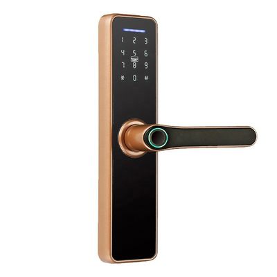 Rosh Ttlock Tuya Uygulaması Akıllı Elektronik Kilit Wifi Şifre Kilidi